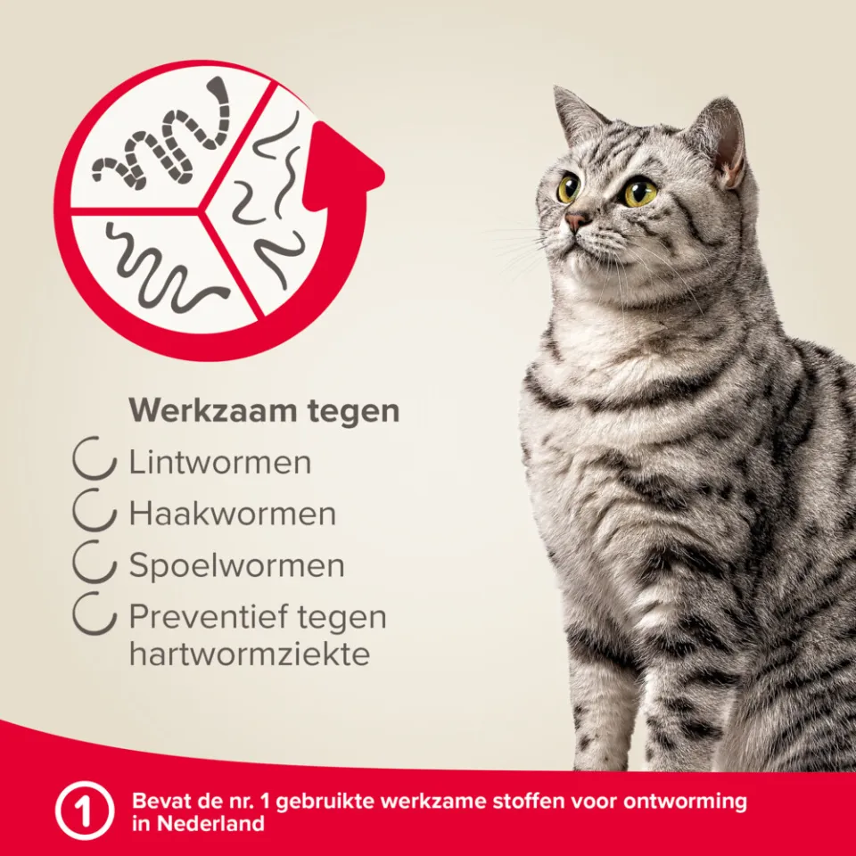 Beaphar Milquestra ontwormingstabletten kat, foto 4