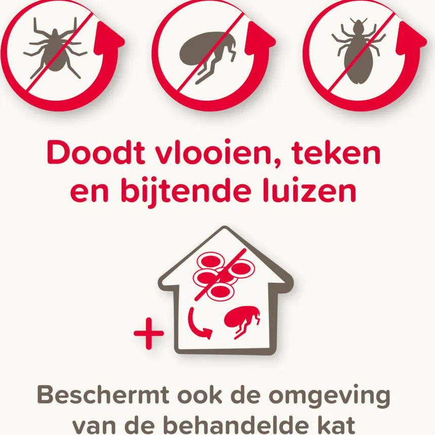Beaphar Combotec vlooiendruppels kat, foto 4
