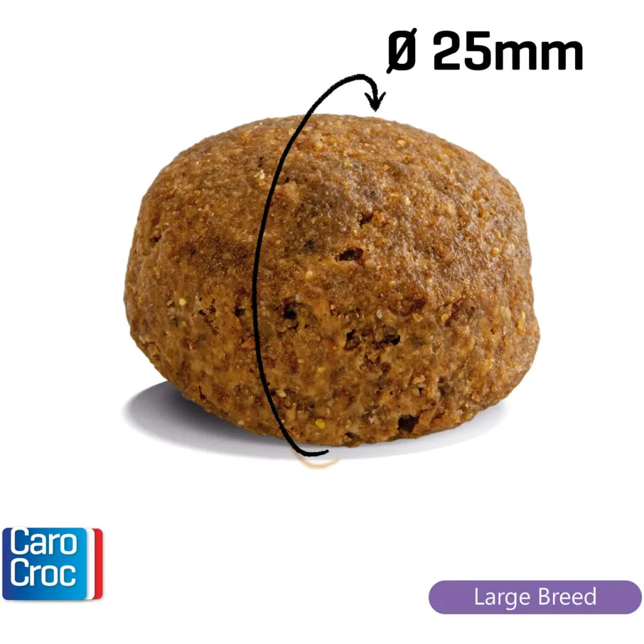 CaroCroc Large Breed hondenvoer droog, foto 2