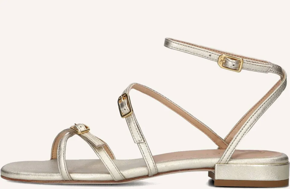 Unisa Sandalen Chisun Goud, foto 5