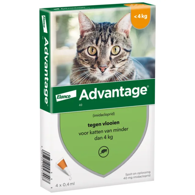 Advantage Kat 40 anti vlooiendruppels