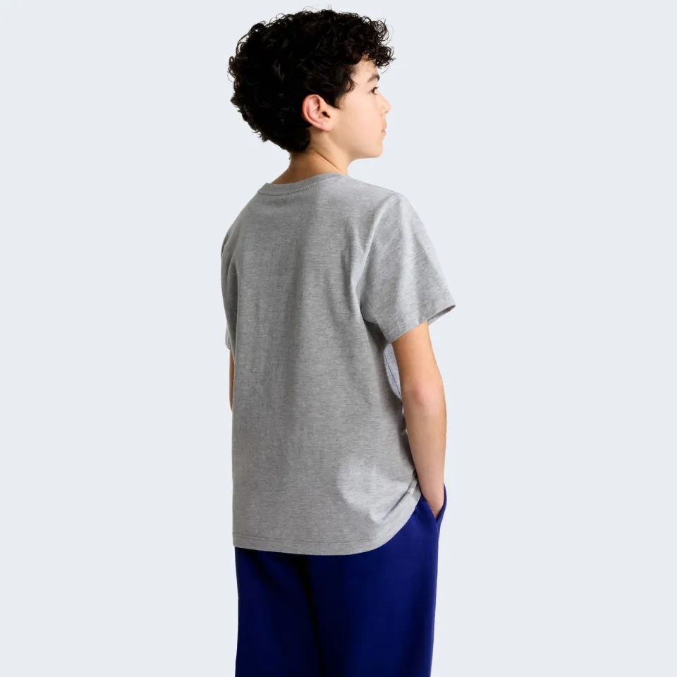 The North Face Teen Evolution Simple Dome t-shirt grijs