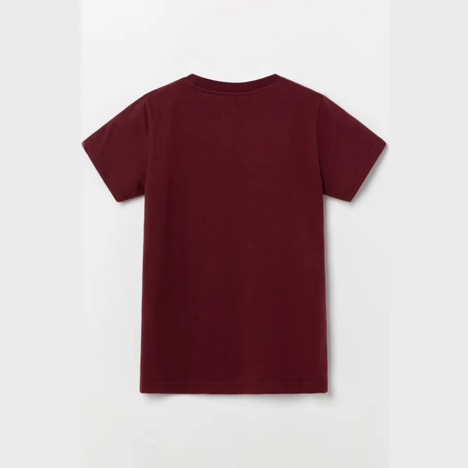 Ellesse T-shirt donkerrood bordeaux, foto 2