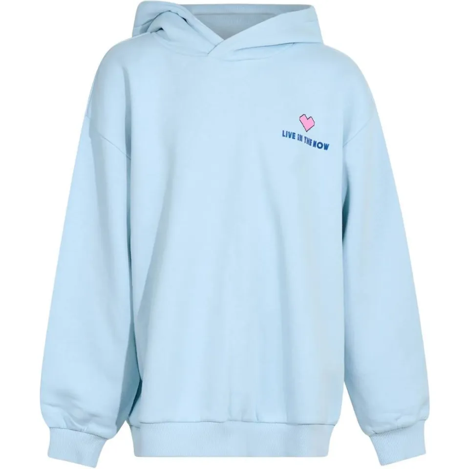 Shoeby regular fit hoodie met backprint - lichtblauw, foto 2