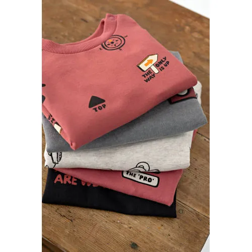Feetje sweater Mountain Top - grijs, foto 6