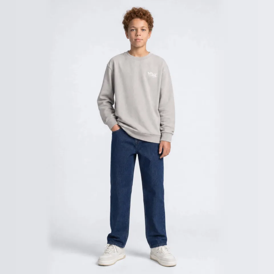 Petrol Industries sweater met backprint - grijs, foto 4