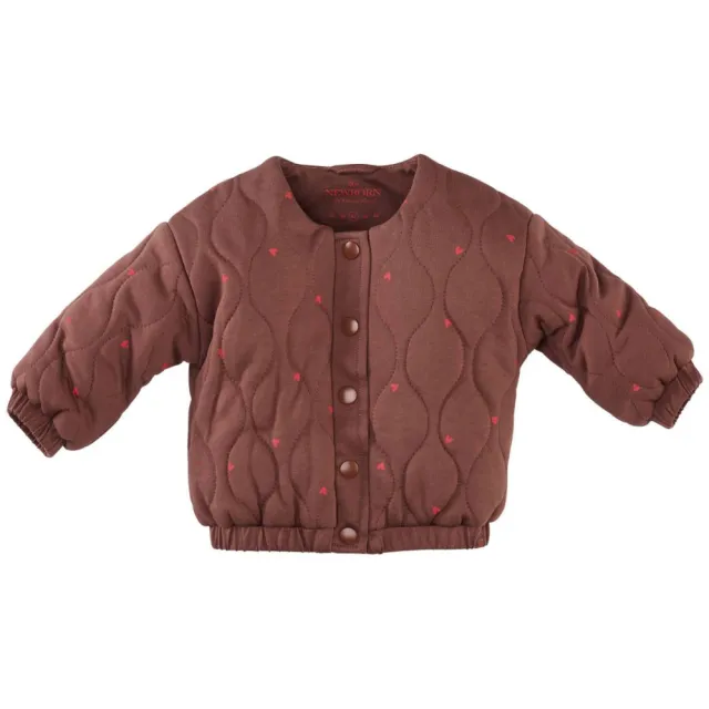 Z8 newborn Ember bomberjack bruin, foto 2