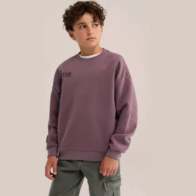 WE Fashion Blue Ridge sweater met backprint - violet