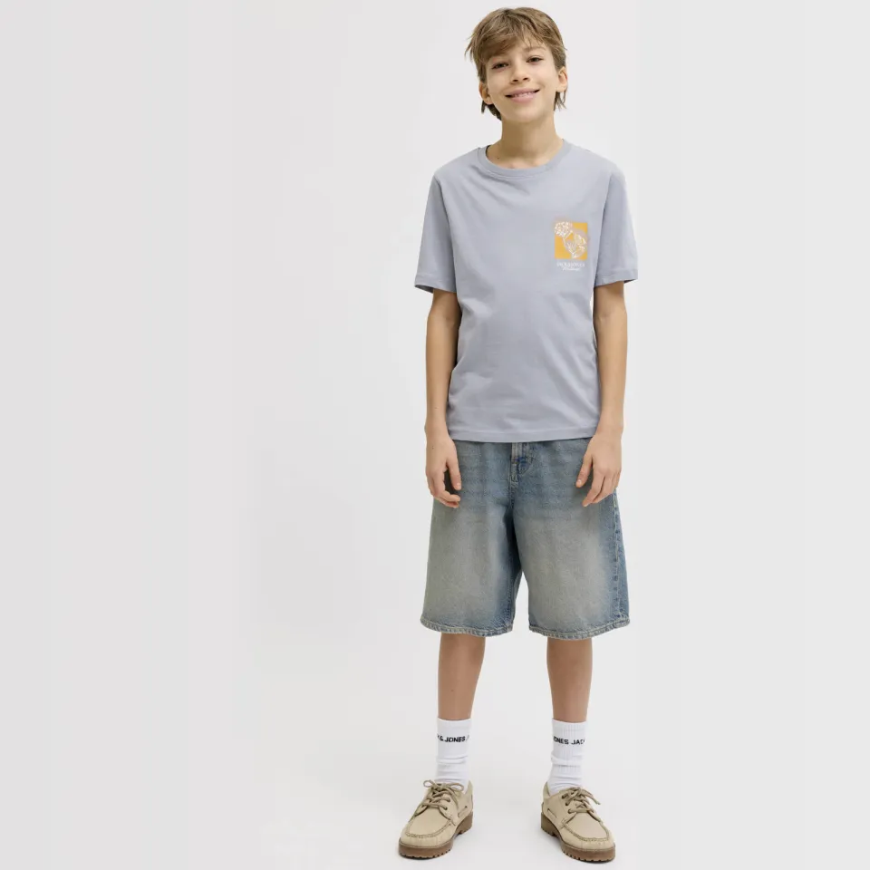 Jack & Jones T-shirt met printopdruk grijsblauw