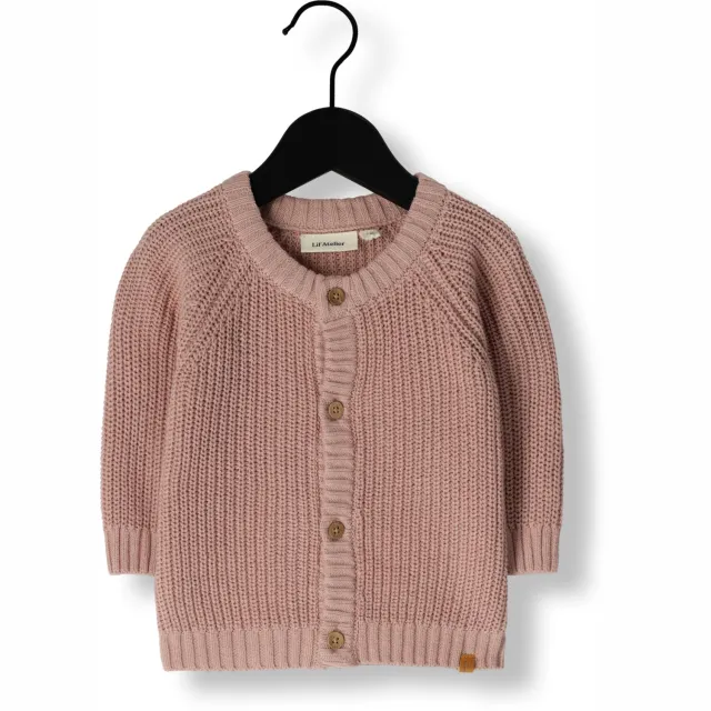 Lil' Atelier Baby Truien & Vesten Nbnemlen Ls Knit Card Lil Noos - Lichtroze