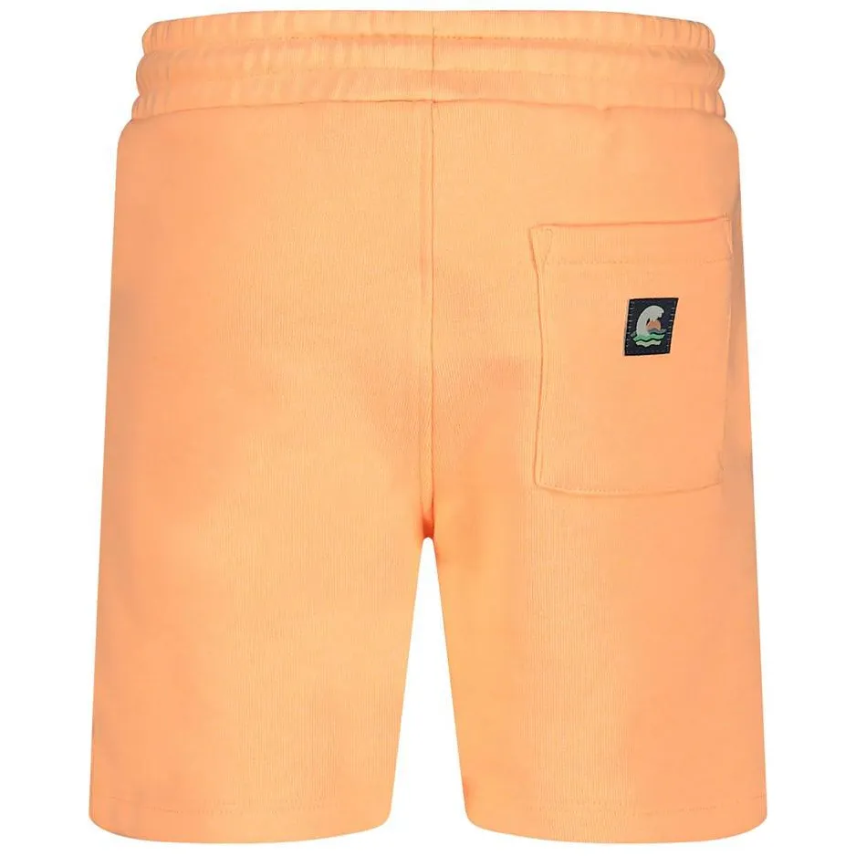 Sturdy Lagoon Legends sweatshort neon oranje, foto 6
