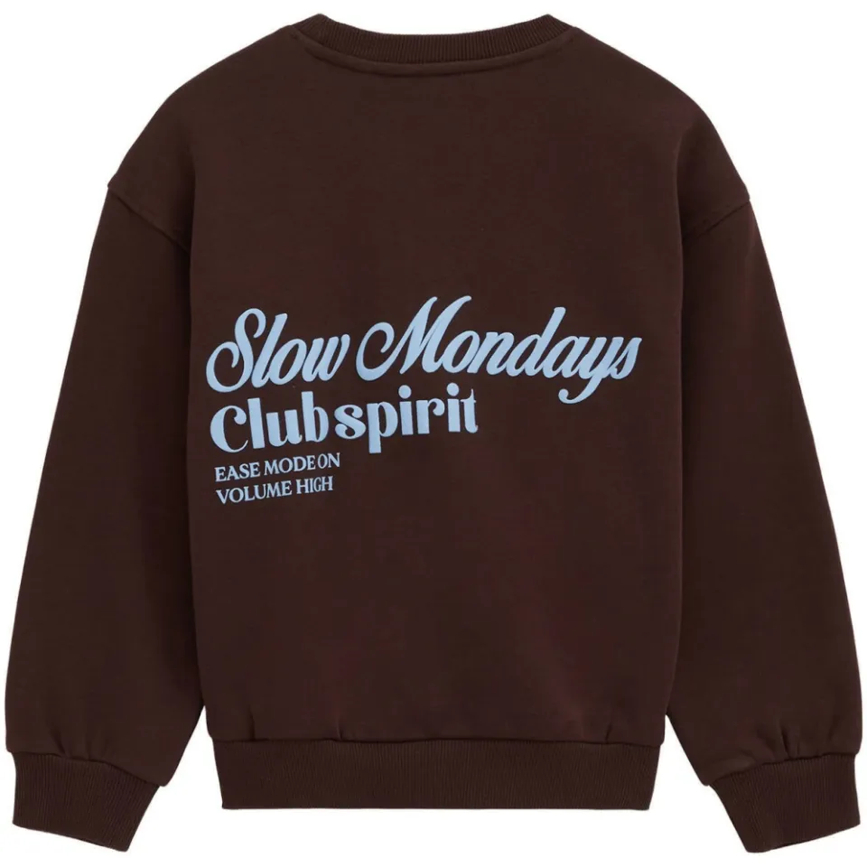 WE Fashion junior sweater met backprint - donkerbruin/lichtblauw, foto 3