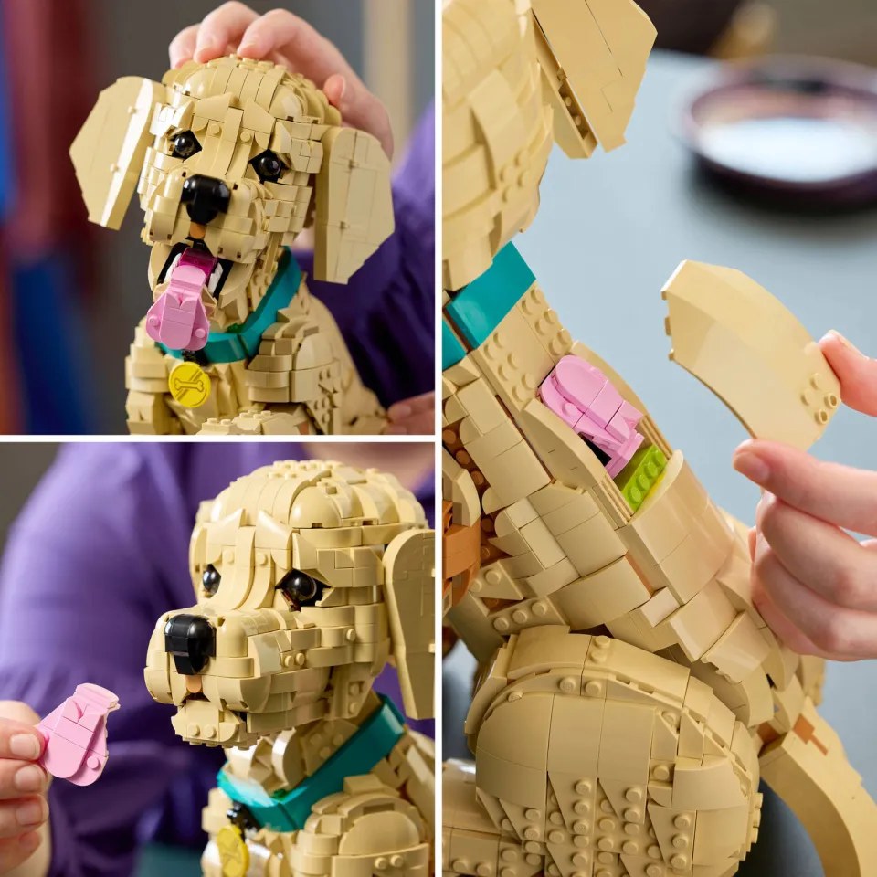 Lego Icons Golden Retriever Puppy Bouwpakket met Dieren Figuur 11384, foto 7
