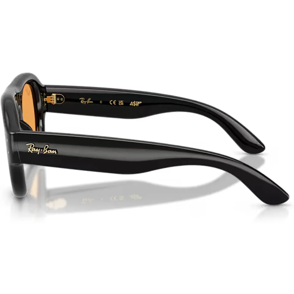 Ray-Ban 0RB4925 zonnebril zwart, foto 4