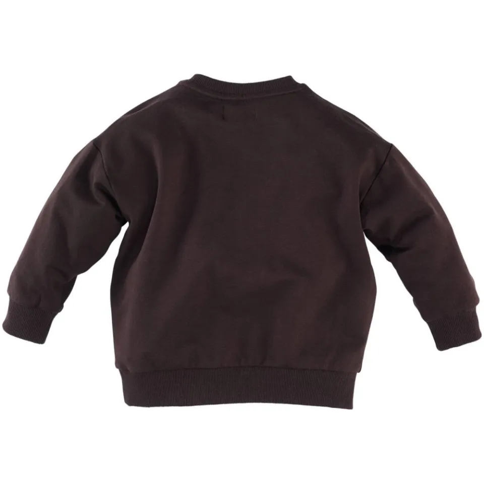 Z8 mini sweater Janoah donkerbruin, foto 3