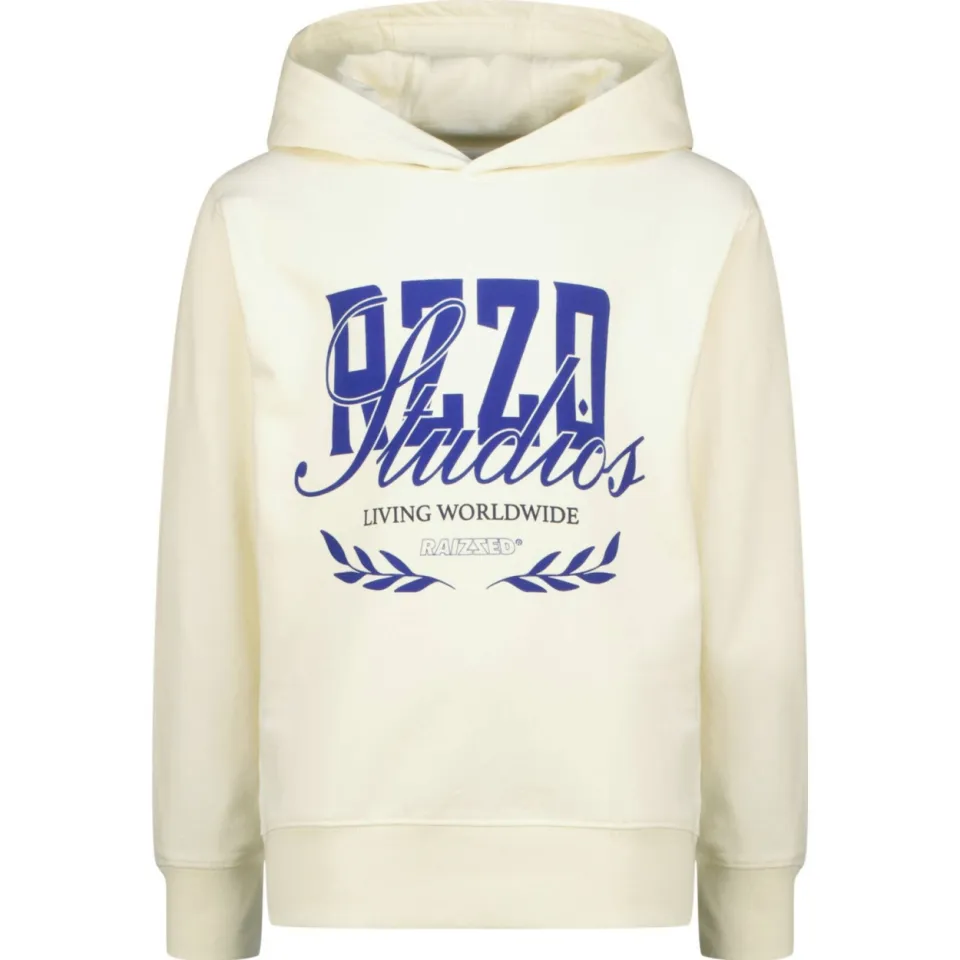 Raizzed hoodie beige, foto 2