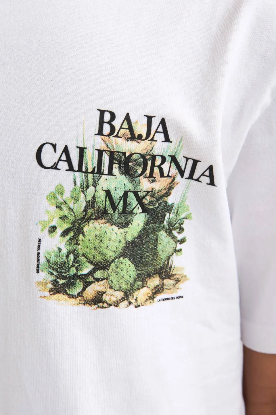 Petrol Industries t-shirt met backprint wit, foto 8
