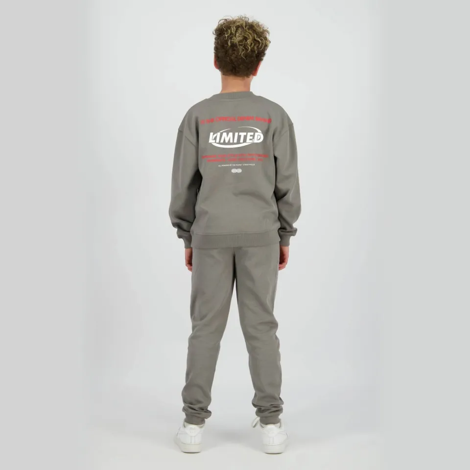 Raizzed sweater met backprint grijs, foto 5