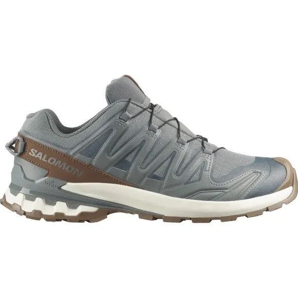 Salomon XA Pro 3D V9 GORE-TEX Lifelong sneaker grijs