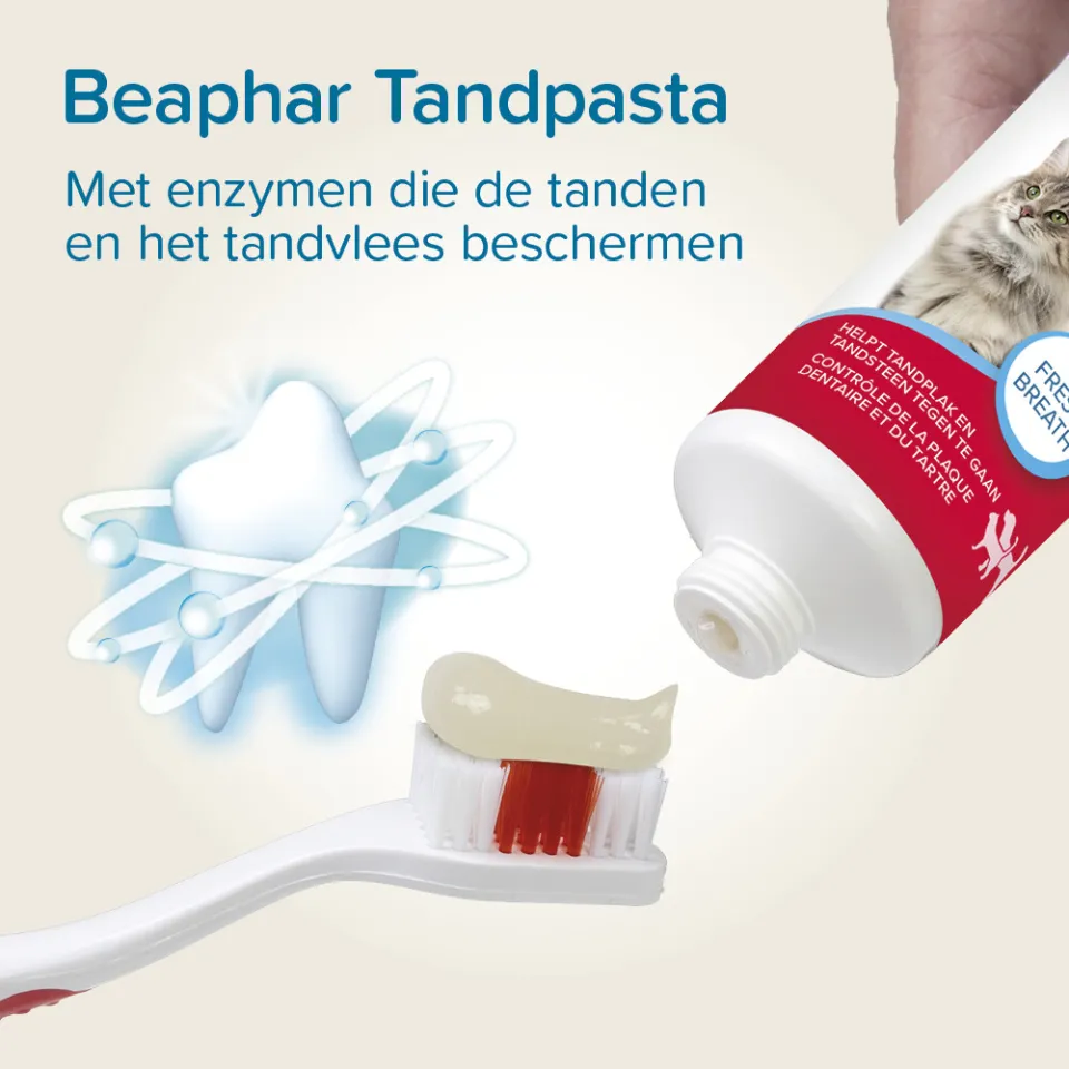Beaphar tandpasta voor hond en kat, foto 3