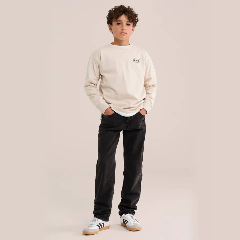 WE Fashion Blue Ridge regular fit jeans - zwart Black Denim