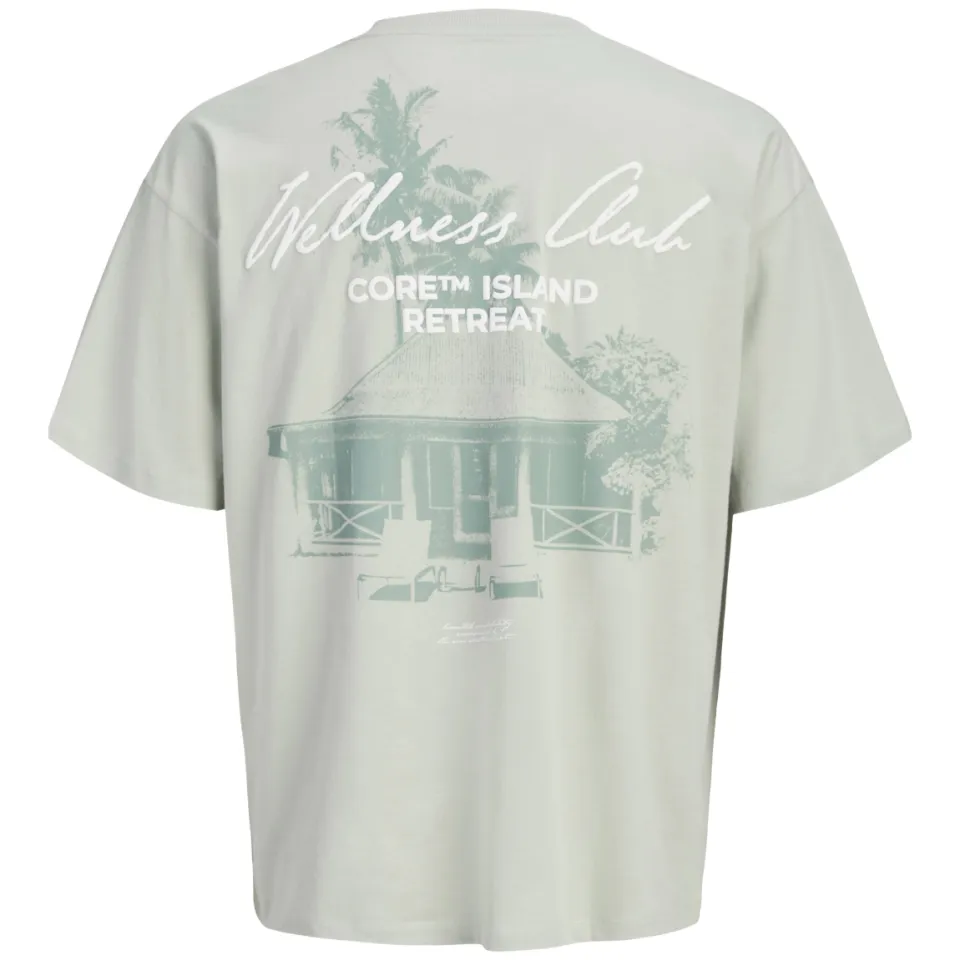 Jack & Jones t-shirt grijsgroen met print, foto 3
