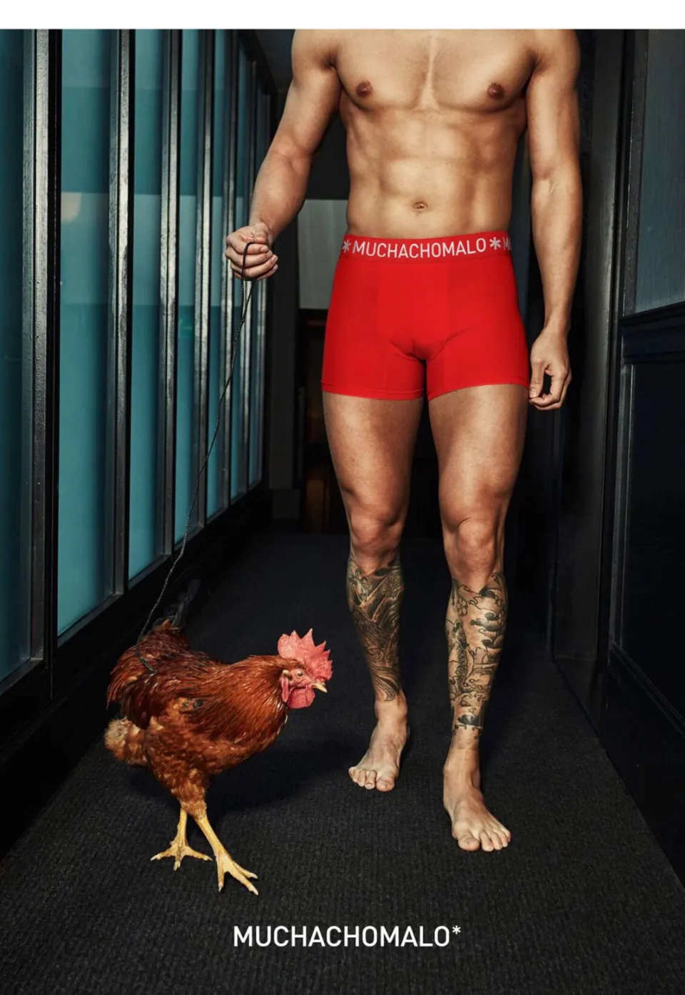 Muchachomalo Solid boxershorts zwart/blauw/rood, foto 6