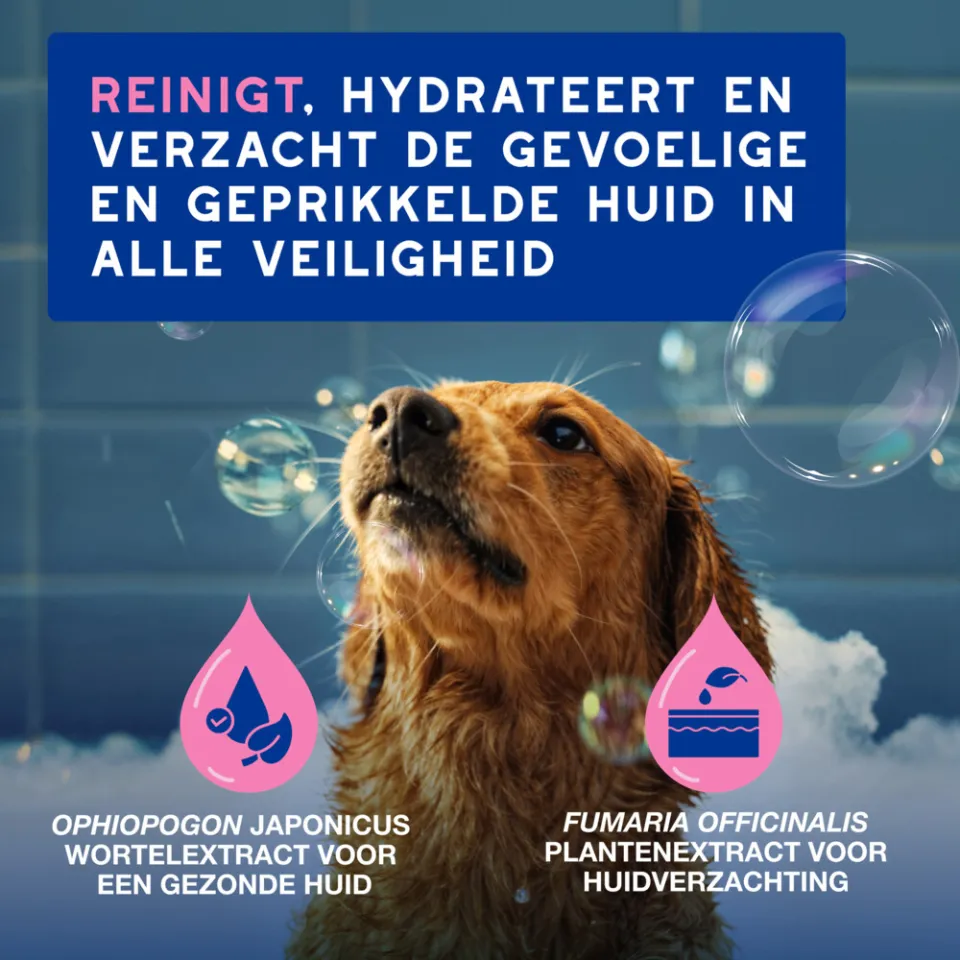 Douxo Spa shampoo geprikkelde huid hond 250 ml, foto 2