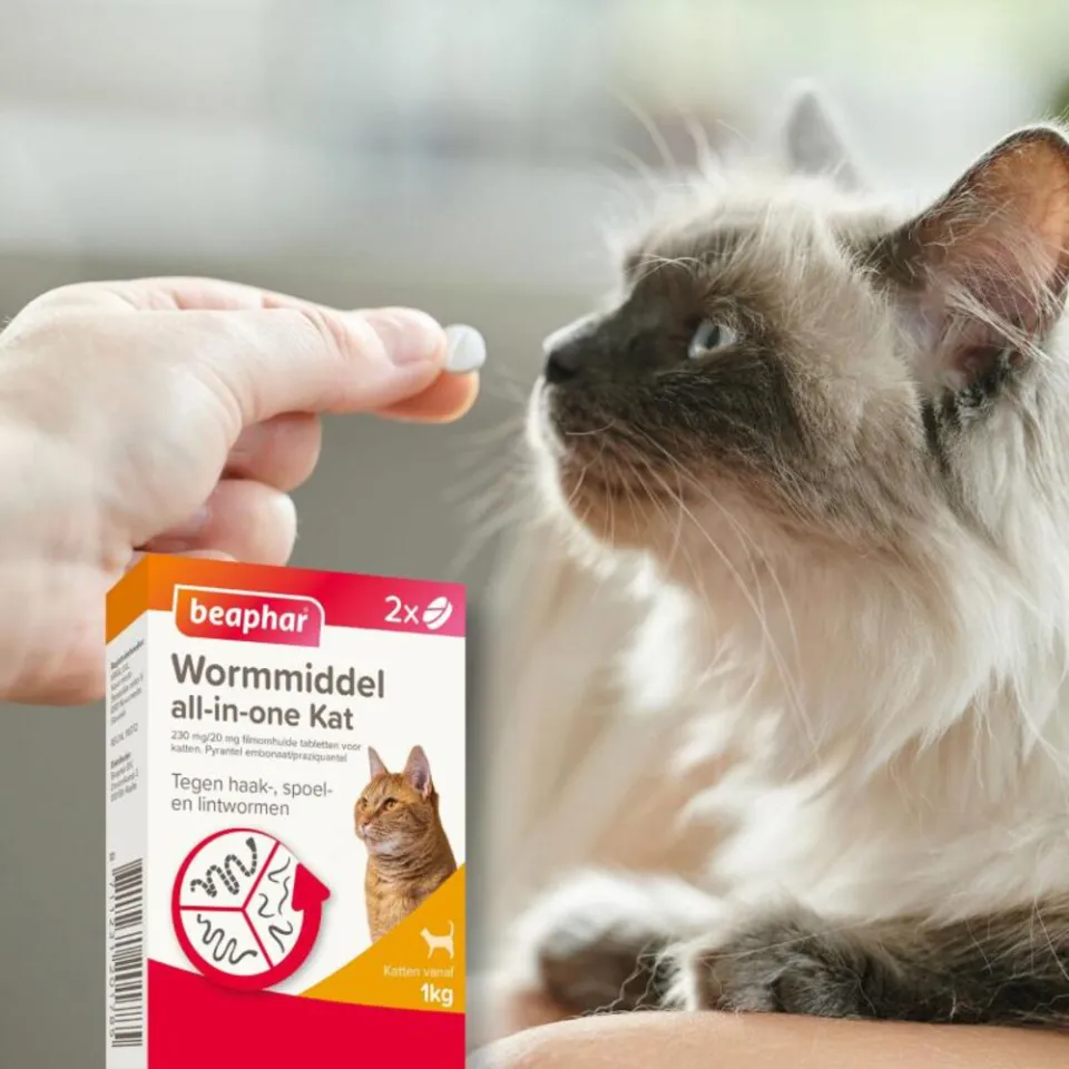 Beaphar All-in-one Ontworming Tabletten Kat Vanaf 1 kg 2 tabletten, foto 5