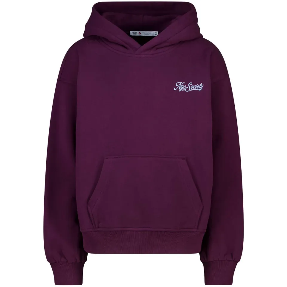 America Today hoodie met backprint - aubergine, foto 2