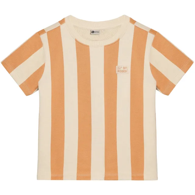 Daily7 gestreept t-shirt bruin, foto 2