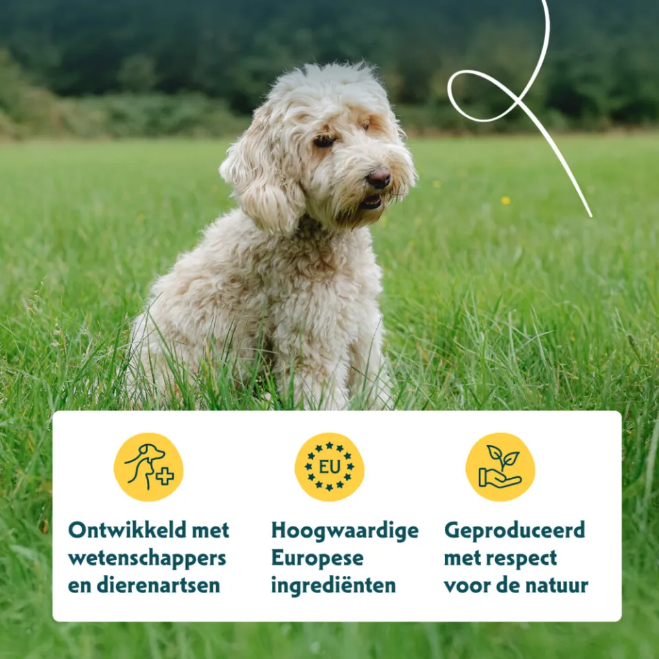 Yarrah Graanvrij hondenvoer kip en vis, foto 4
