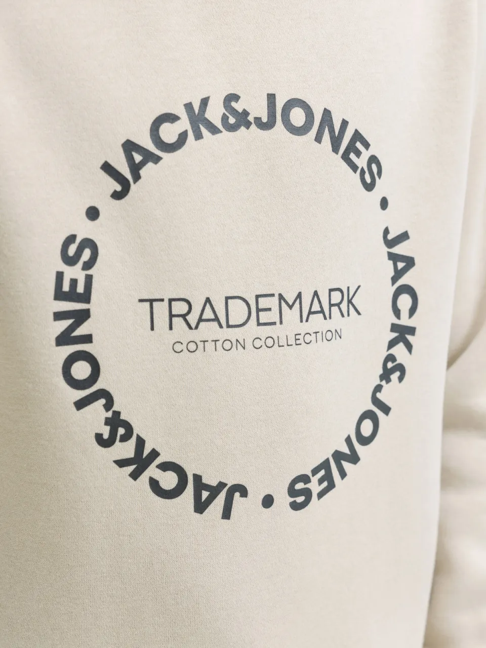 Jack & Jones JUNIOR sweater met tekst - beige, foto 5