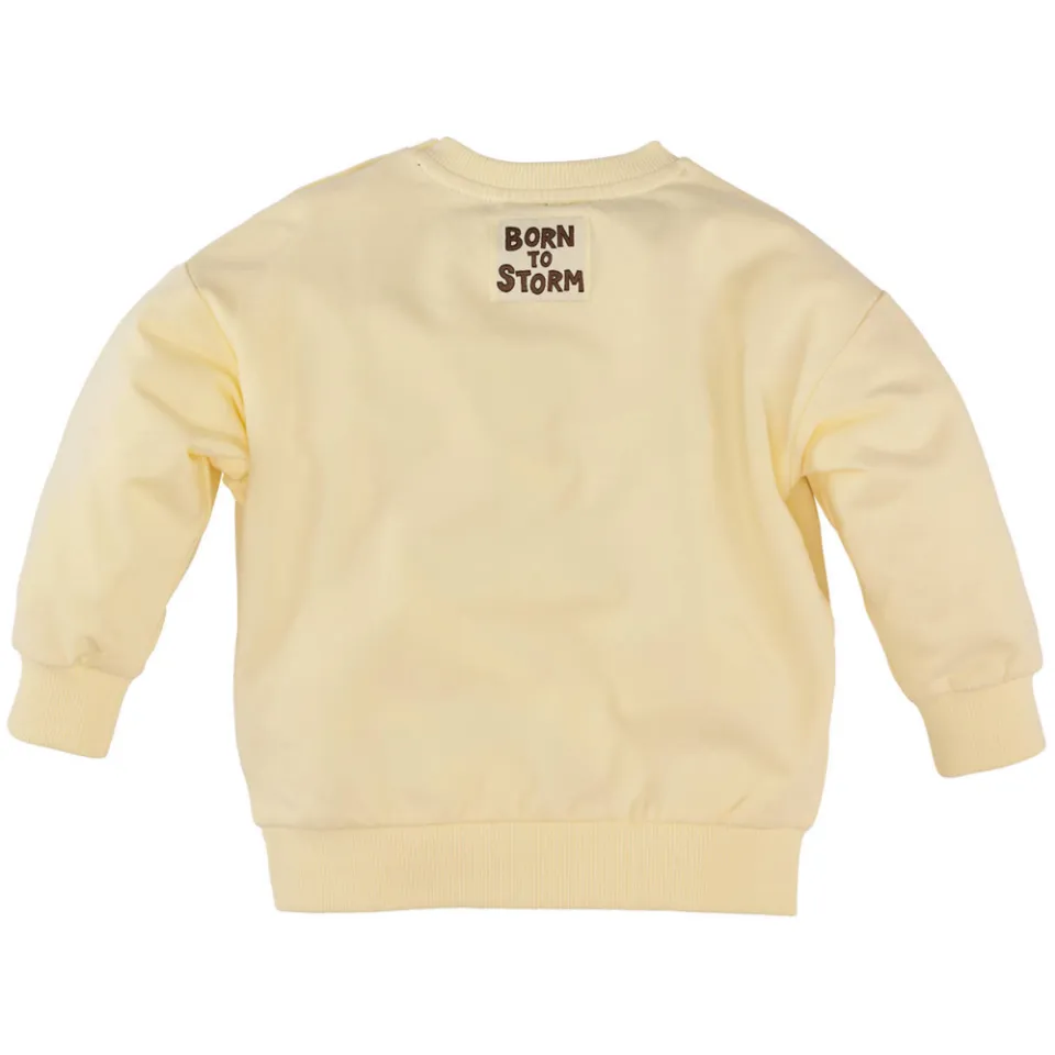 Z8 mini sweater Maarten lichtgeel, foto 3
